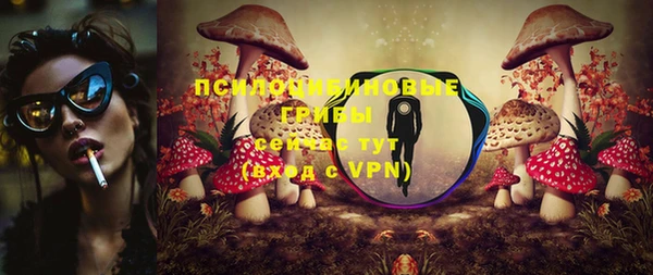 прущие крисы Надым