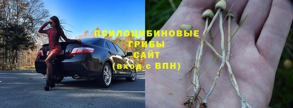 прущие крисы Надым