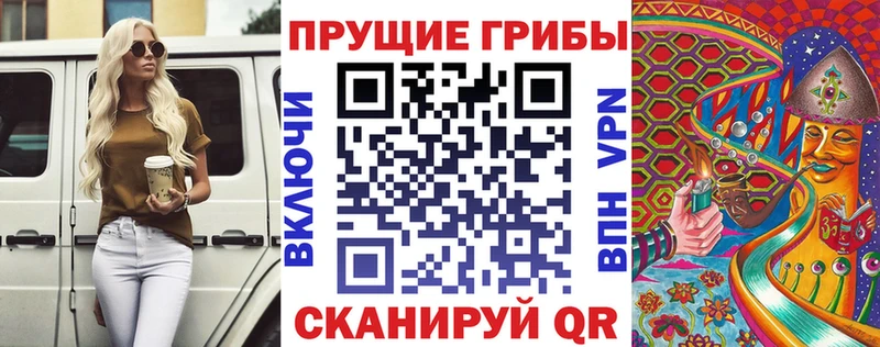 Галлюциногенные грибы Psilocybe  Тбилисская 